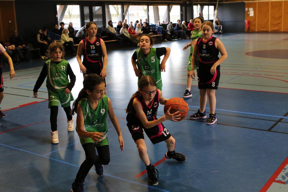 Les équipes de l'école de baskets ont toutes connu la victoire ce WE